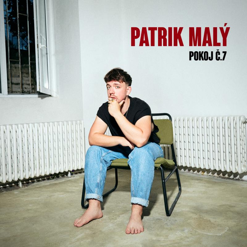 Patrik Malý-Pokoj č.7