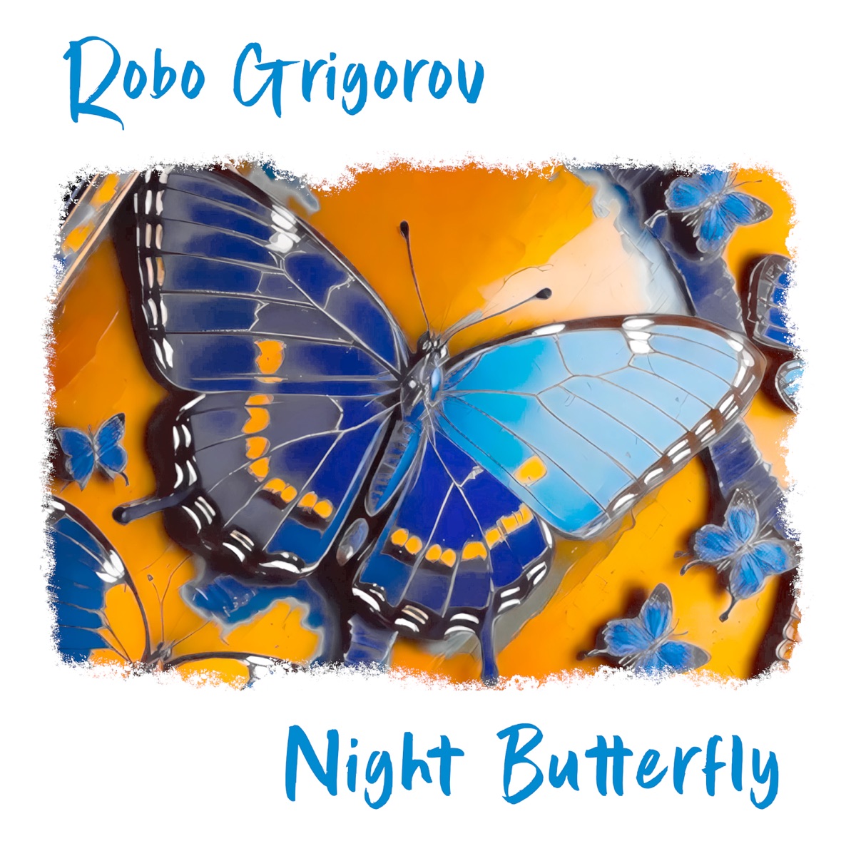 Night Butterfly