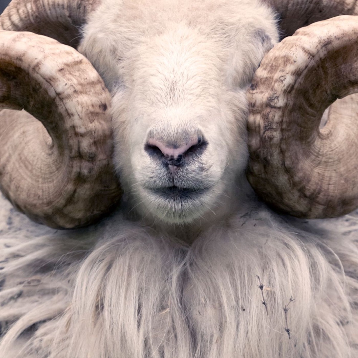 Daj si pozor, čomu uveríš