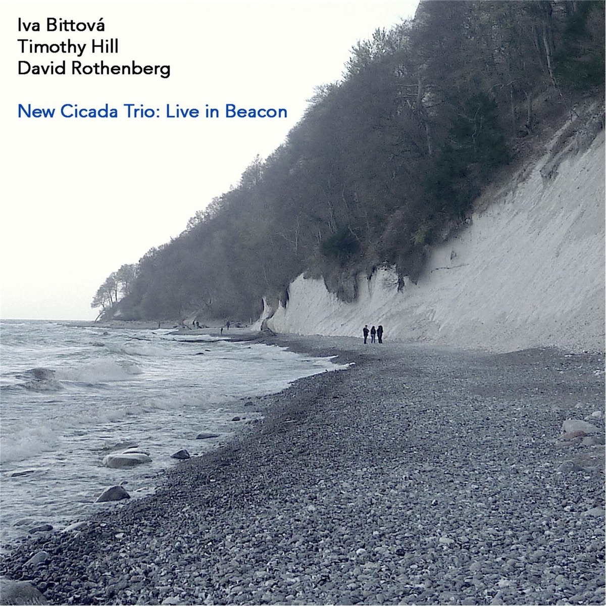 New cicada trio: live in Beacon (feat. Timothy Hill, David Rothenberg)