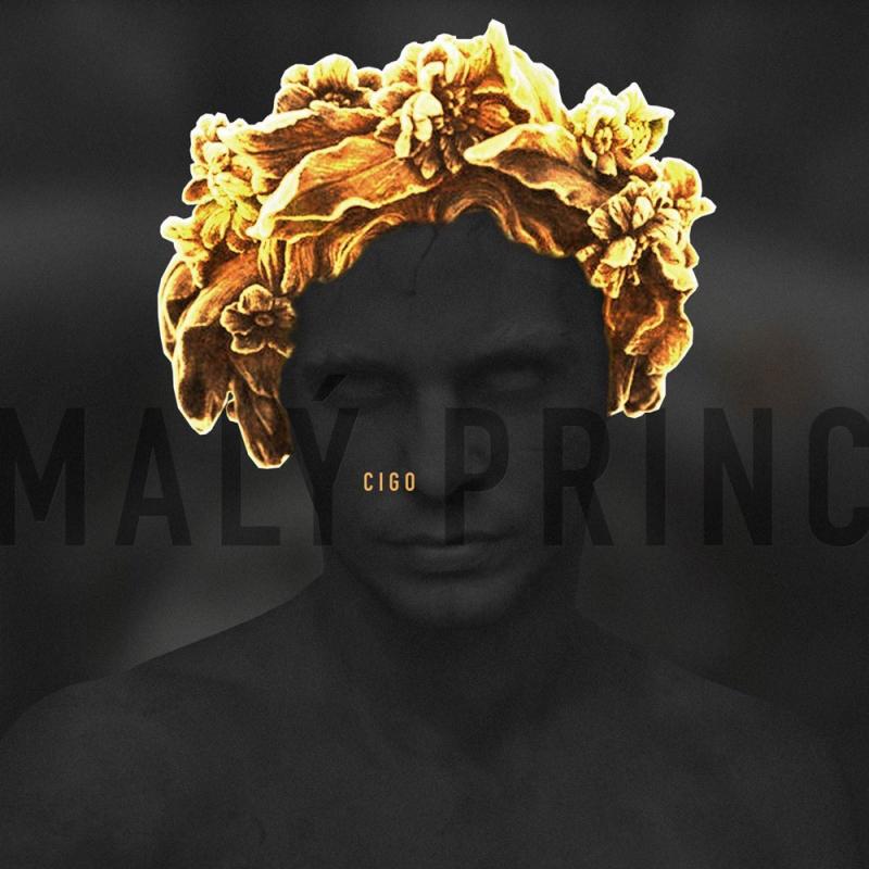 Malý princ
