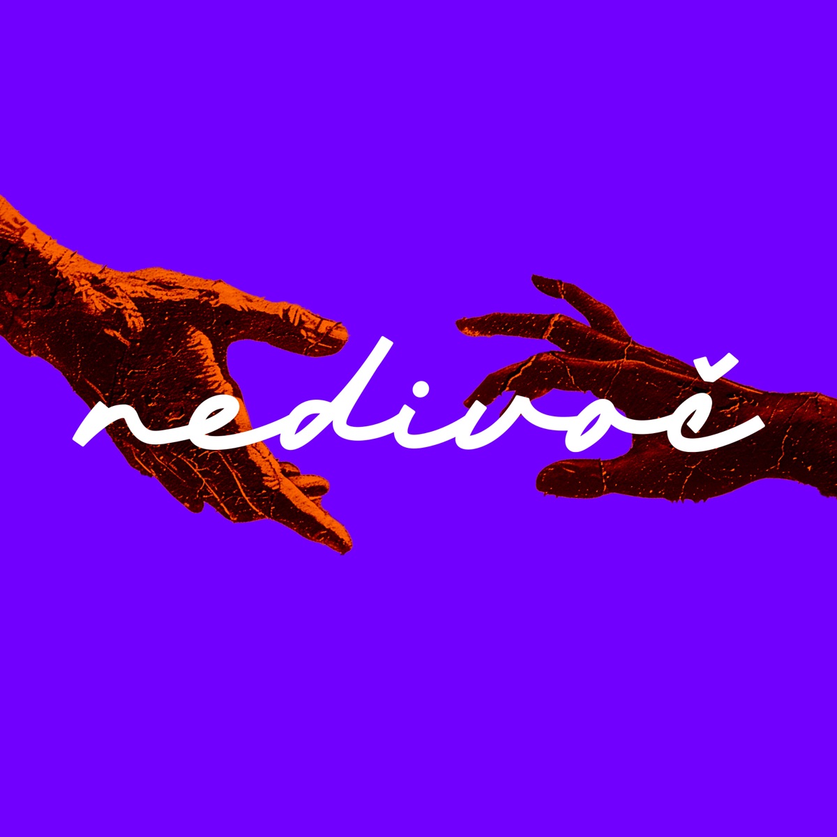 Jsi m� (feat. Nedivo�)