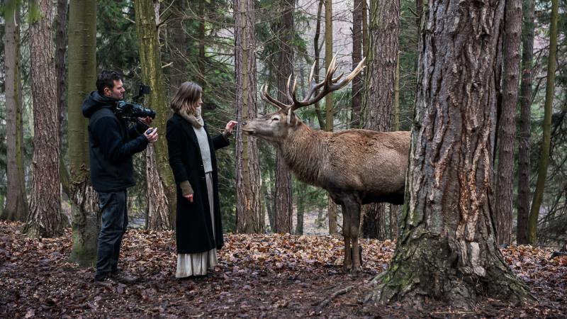 Klip Zuzany Smatanovej „Horou“ má už štvrť milióna pozretí, účinkuje v ňom živý jeleň