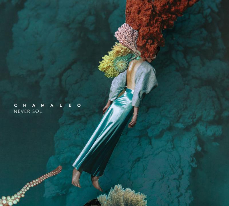 NEVER SOL má nové album Chamaleo. Svůj svébytný zvukový ekosystém představí 31. 10. v Paláci Akropolis