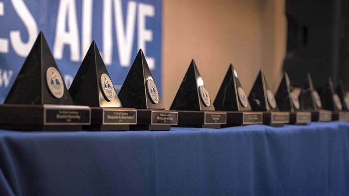 Festival Blues Alive v Šumperku získal nejprestižnější světové bluesové ocenění za dlouholetý přínos tomuto žánru