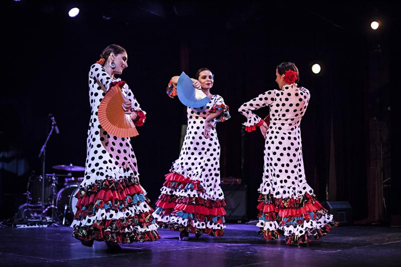 Festival Den flamenka od čtvrtka rozzáří listopadovou Prahu