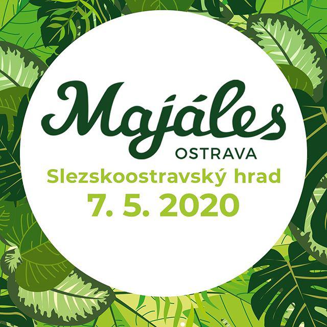 Majáles-studentské oslavy příchodu jara.