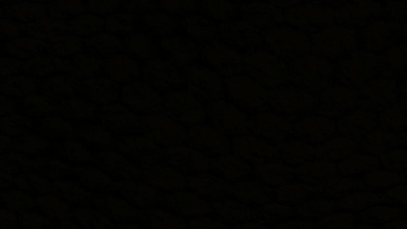 Vyhlásenie asociácií a združení nezriaďovanej kultúry na Slovensku k aktuálnej situácii v kultúre