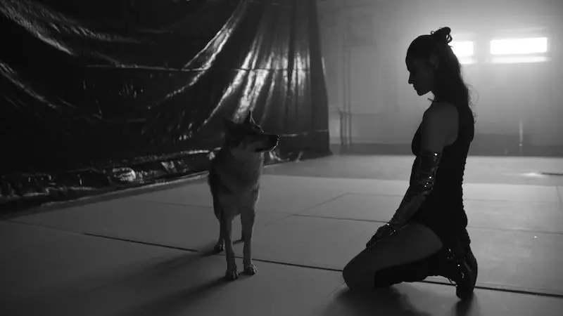 Nový videoklip Lenky Dusilové k písni ''Vlákna''