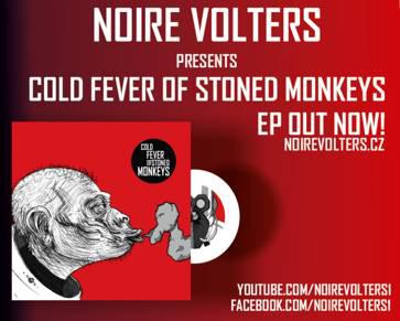 Who the fuck are Noire Volters?