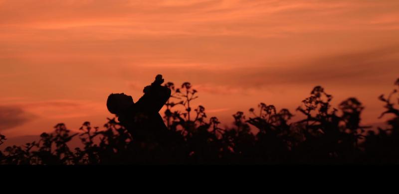 Lukáš Adamec zverejnil lyrics video k piesni Lietaj, ktoré evokuje pokoj, pokoru, či zmierenie