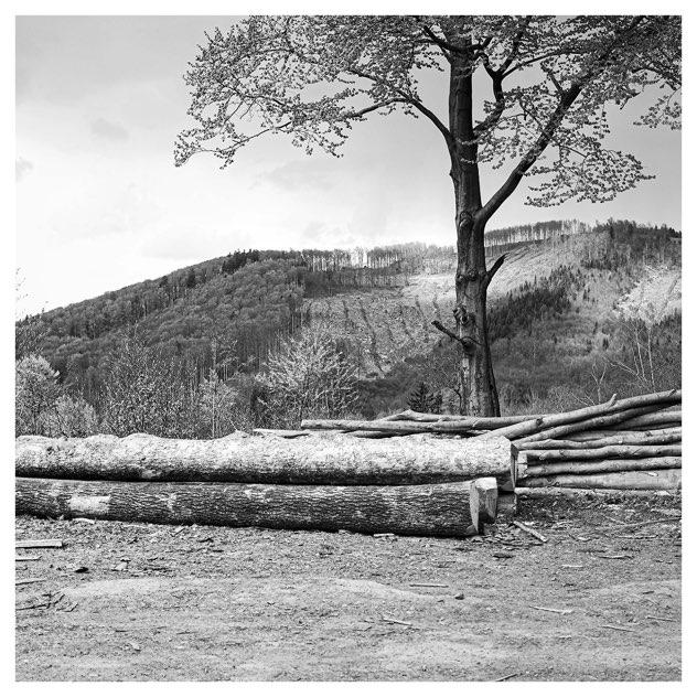 Druhá tráva natočila živý klip k oceněnému albu Díl druhý