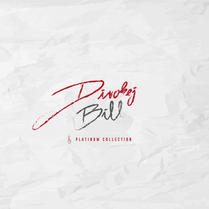 Skupina DIVOKEJ BILL vydává bilanční trojalbum