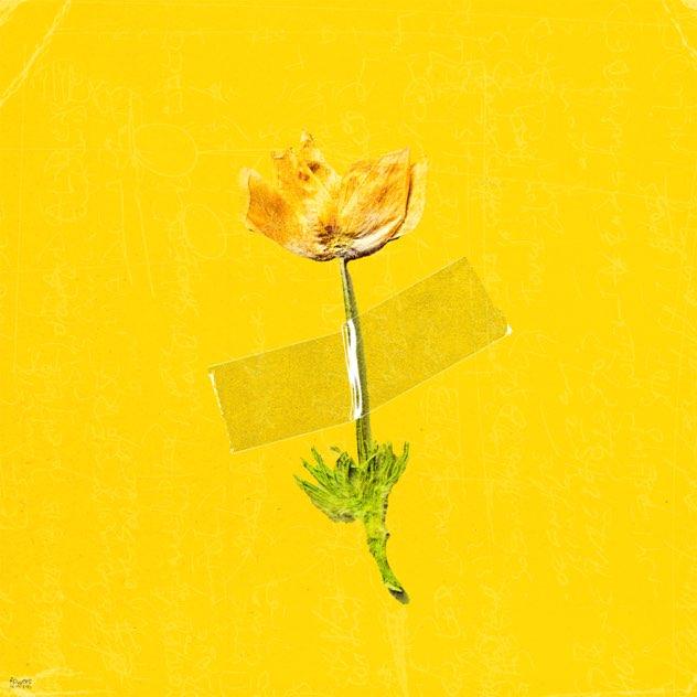 ANNABELLE vítá jaro singlem flowers on my eyes. Peckou s klipem z Los Angeles manifestuje pozitivní energii