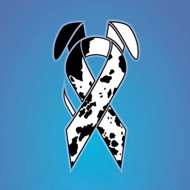 Světové hvězdy se spojily ve videoklipu americké verze hitu Pár přátel Michala Davida. Nový klip měl premiéru v New Yorku.   